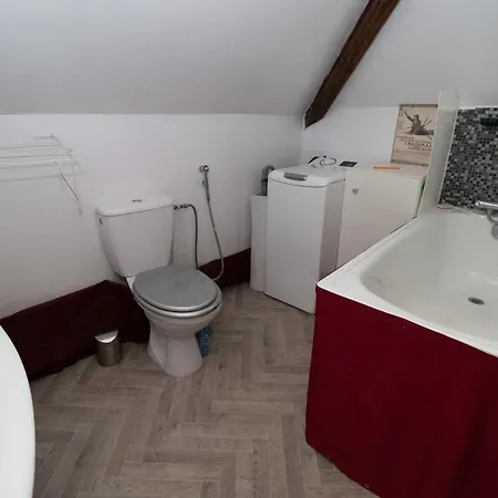 Bright Apartment With Mezzanine * Lille